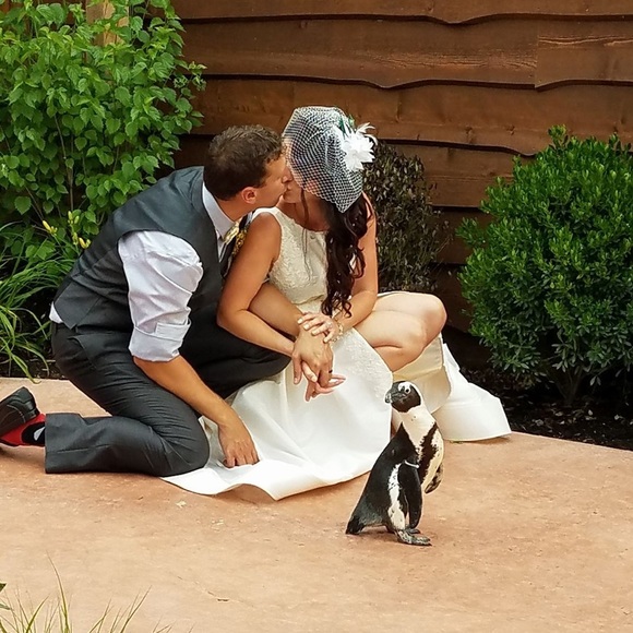 Meet your Posher! π - Picture 1 of 5